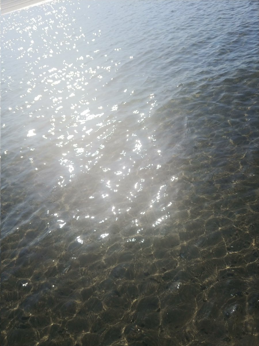 Il mare è il cielo delle schiene non alate. AA 📷