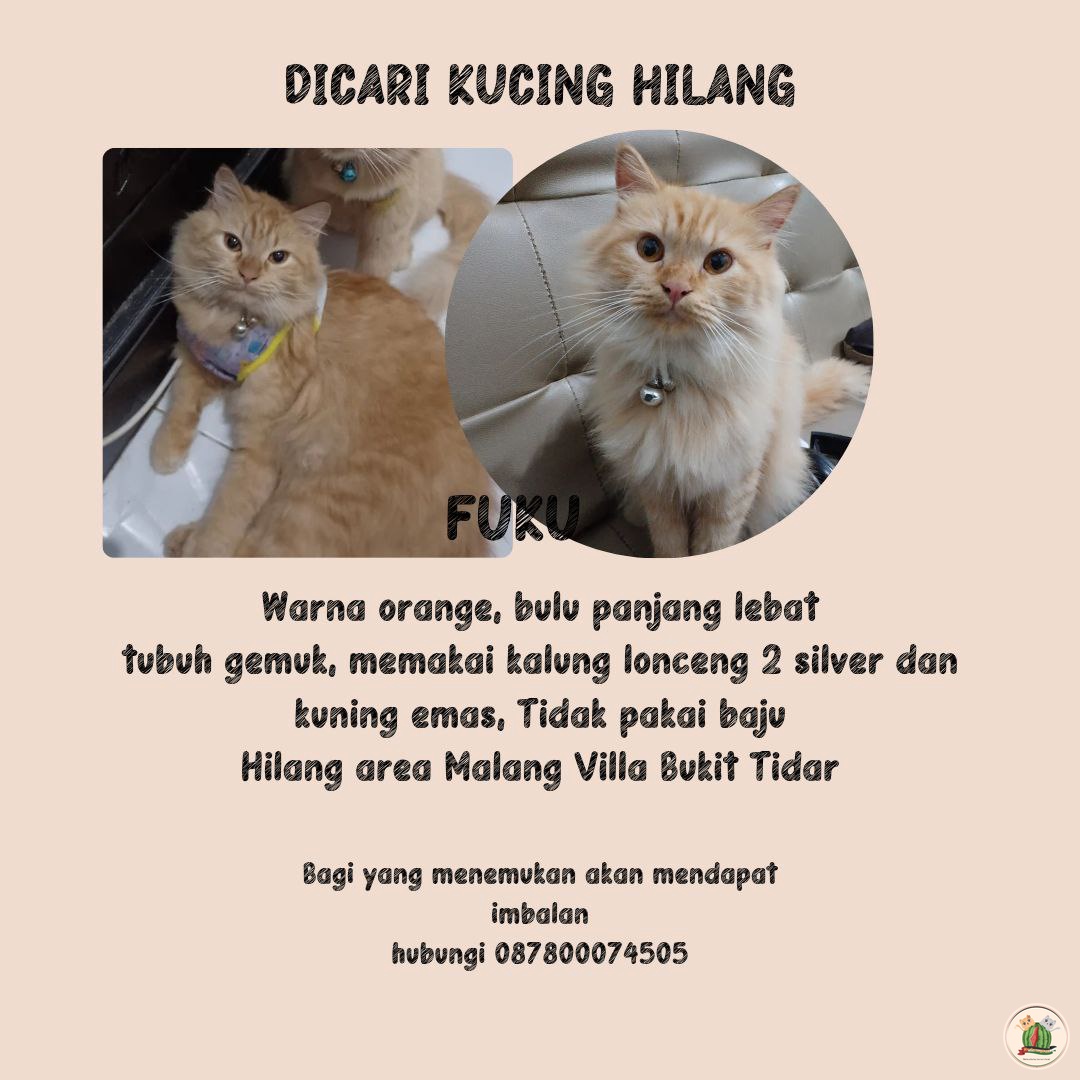 Help RT kcg! Aku hilang 😭😭