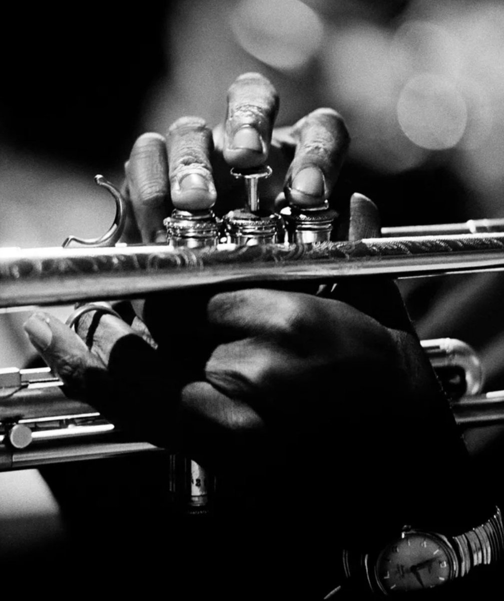 Miles Davis joue au Monterey Jazz Festival le 21 septembre 1963.
© JIM MARSHALL/REEL ART PRESS.