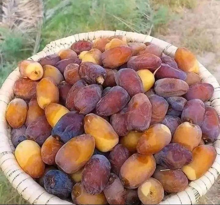 Fresh omani dates