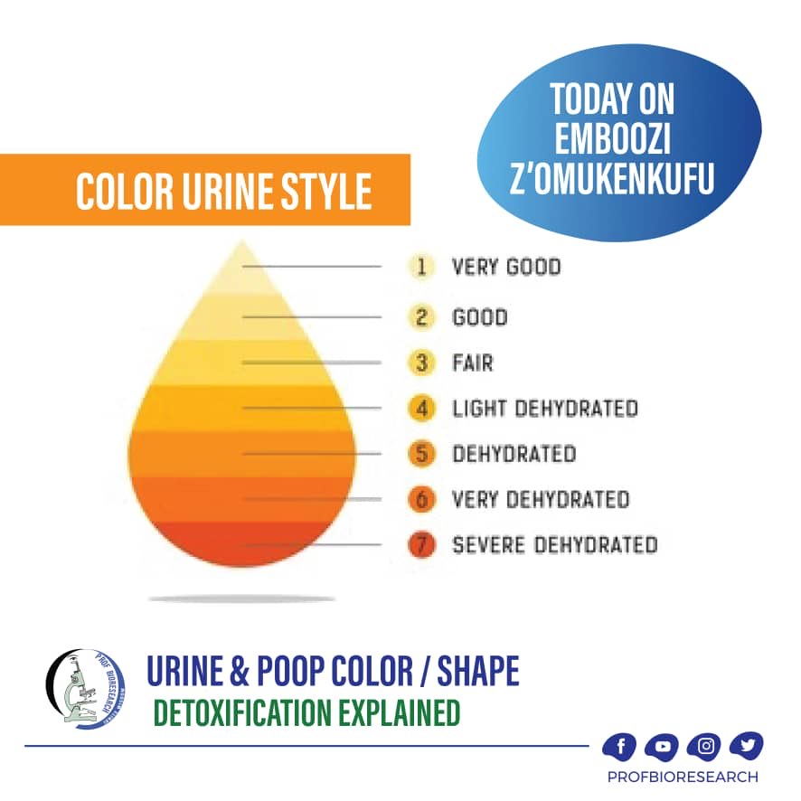 URINE & POOP COLOR / SHAPE INTERPRETATION 

** THE STORY OF  NATURAL DETOXIFICATION ENHANCERS AMIDST A HEAVY  TOXINS EXPOSURE AND HEAVY METALS IN FOOD, AIR, WATER, AGRICULTURAL PESTICIDES AND COSMETICS **

DO NOT MISS EMBOOZI Z'OMUKENKUFU

10: 30 am  today on 87.9 Akaboozi fm