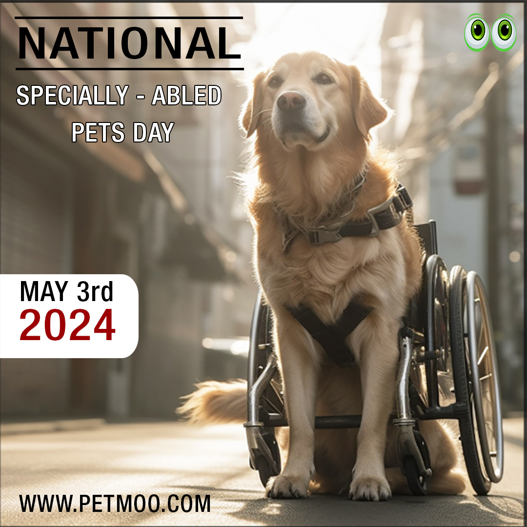 National Specially-Abled Pets Day
#petmoo #pets #dogs #petdays #petday2024 #nationalspeciallyabledpetsday #abledpetsday #dogdays