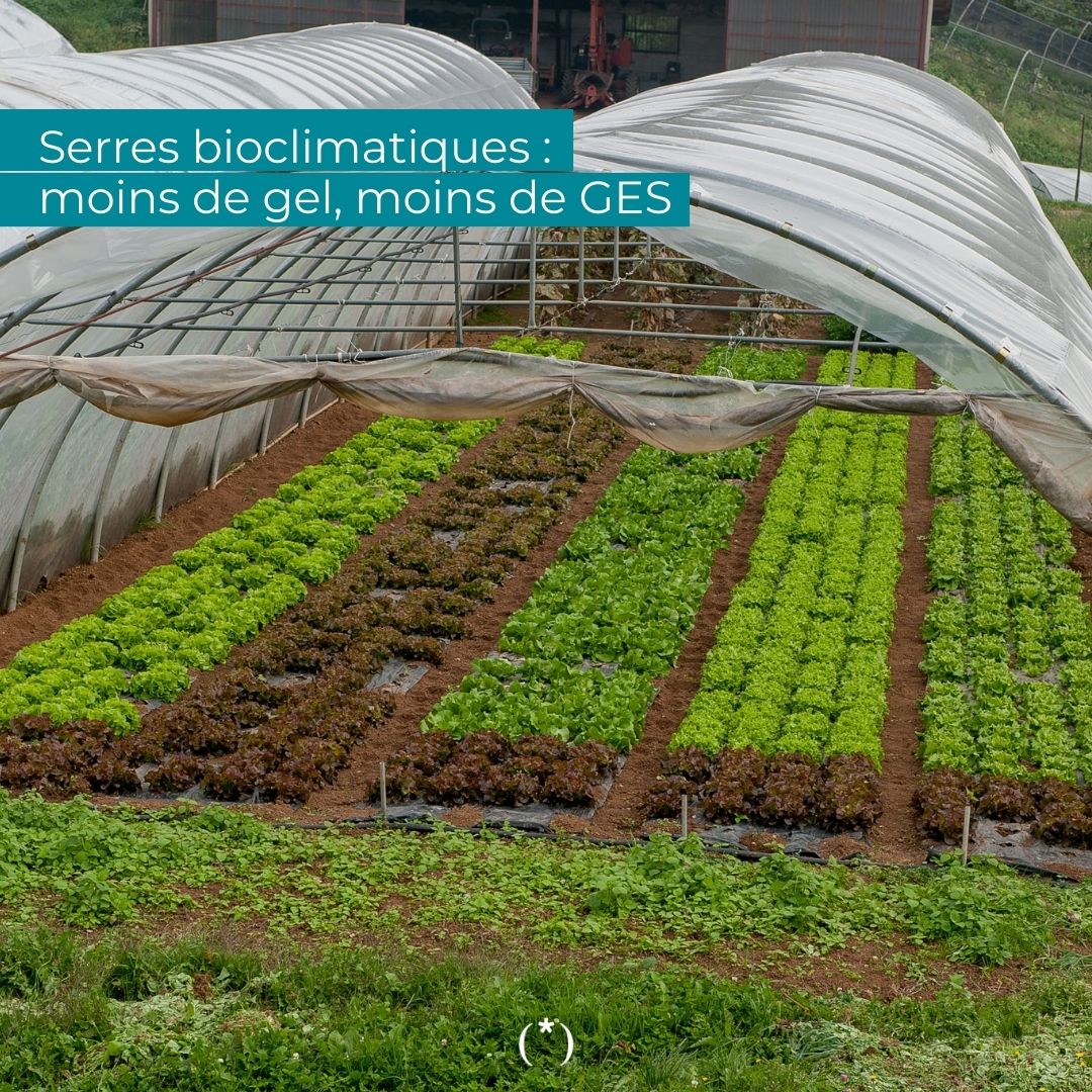 [CÔTÉ RÉDAC’]
En ce début de semaine sur #BleuTomate !
📰 Écodélégués : collégiens et lycéens, ils sont les ambassadeurs de l’écologie dans leur classe 
📰 Serre bioclimatique : visite à Pernes-les-Fontaines (84) avec des Emilie Barde @lalchimiedesplantes 
 #provencetransition