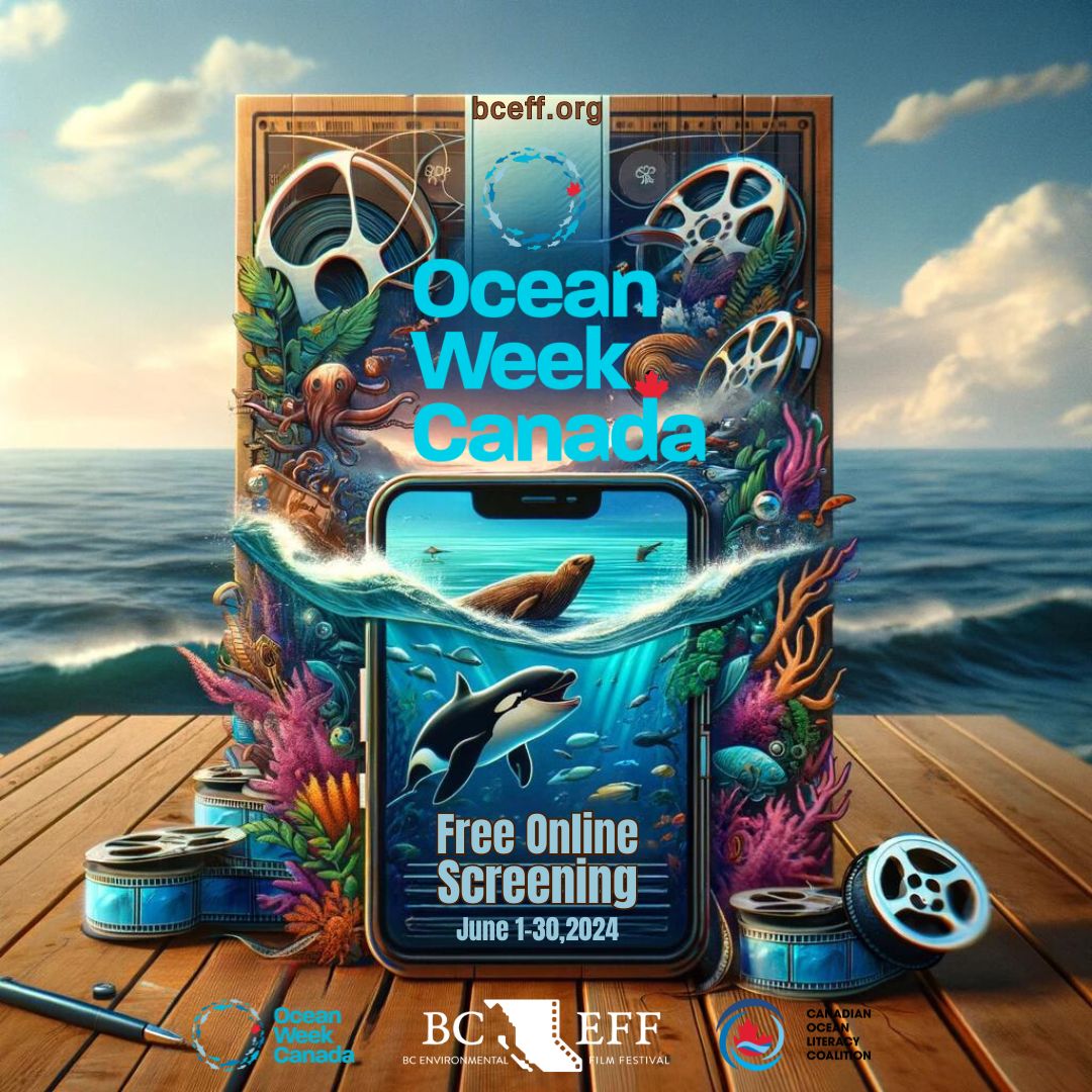 BCEFilmFestival's tweet photo. Celebrate Ocean Week Canada with BCEFF!
From June 1-30,special event for #OceanWeekCanada 2024! We’re excited to offer a free online screening
https://t.co/HhCWKBMNmC
#OceanWeekCanada2024 #BCEFF #OceanConservation #MarineLife #SaveOurOceans #OceanFilms #EcoCinema https://t.co/wIurzKpqnV