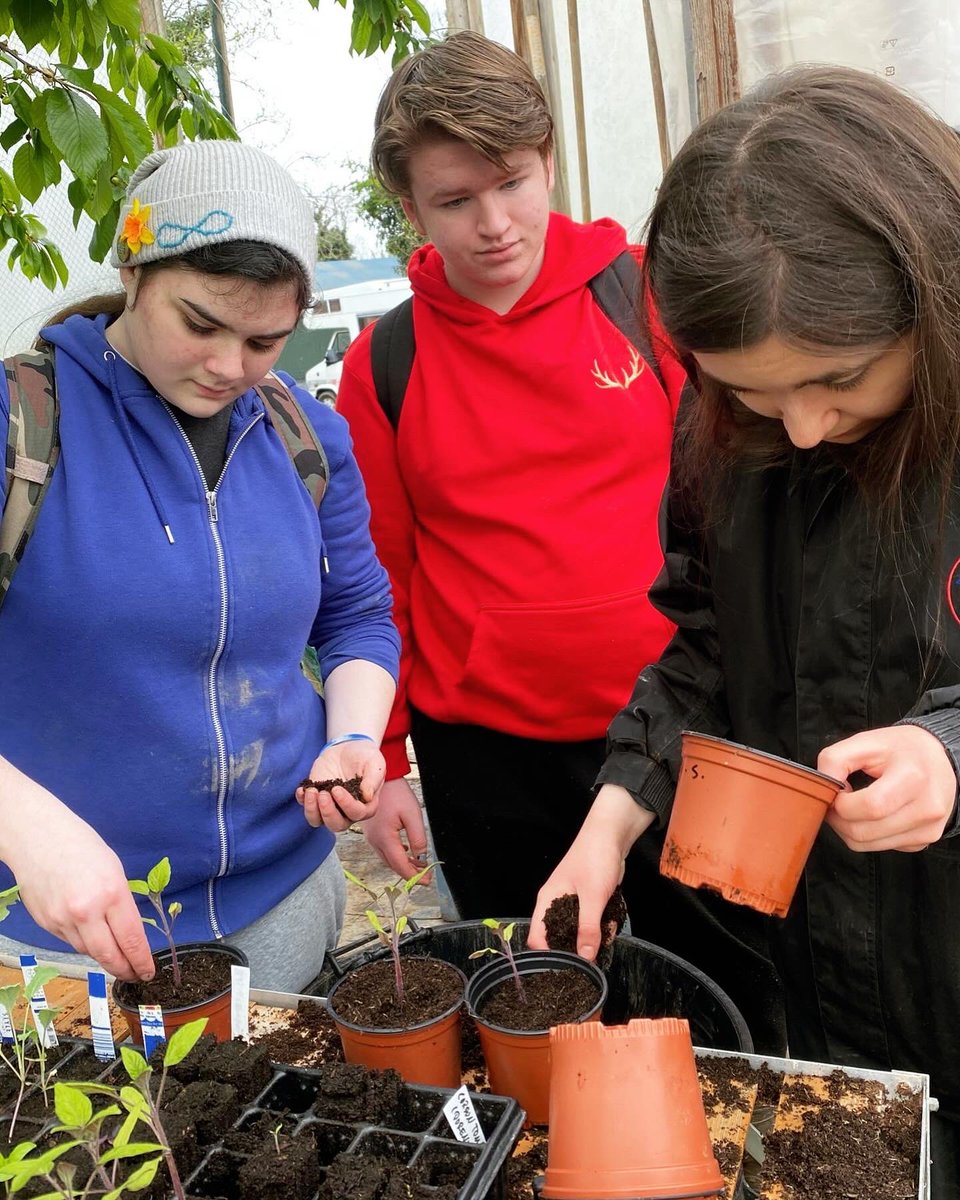 A group of TY students and LCA students were lucky enough to complete their work experience with the help of the social farming Ireland Programme. They really enjoyed it 👩‍🌾🧑‍🌾