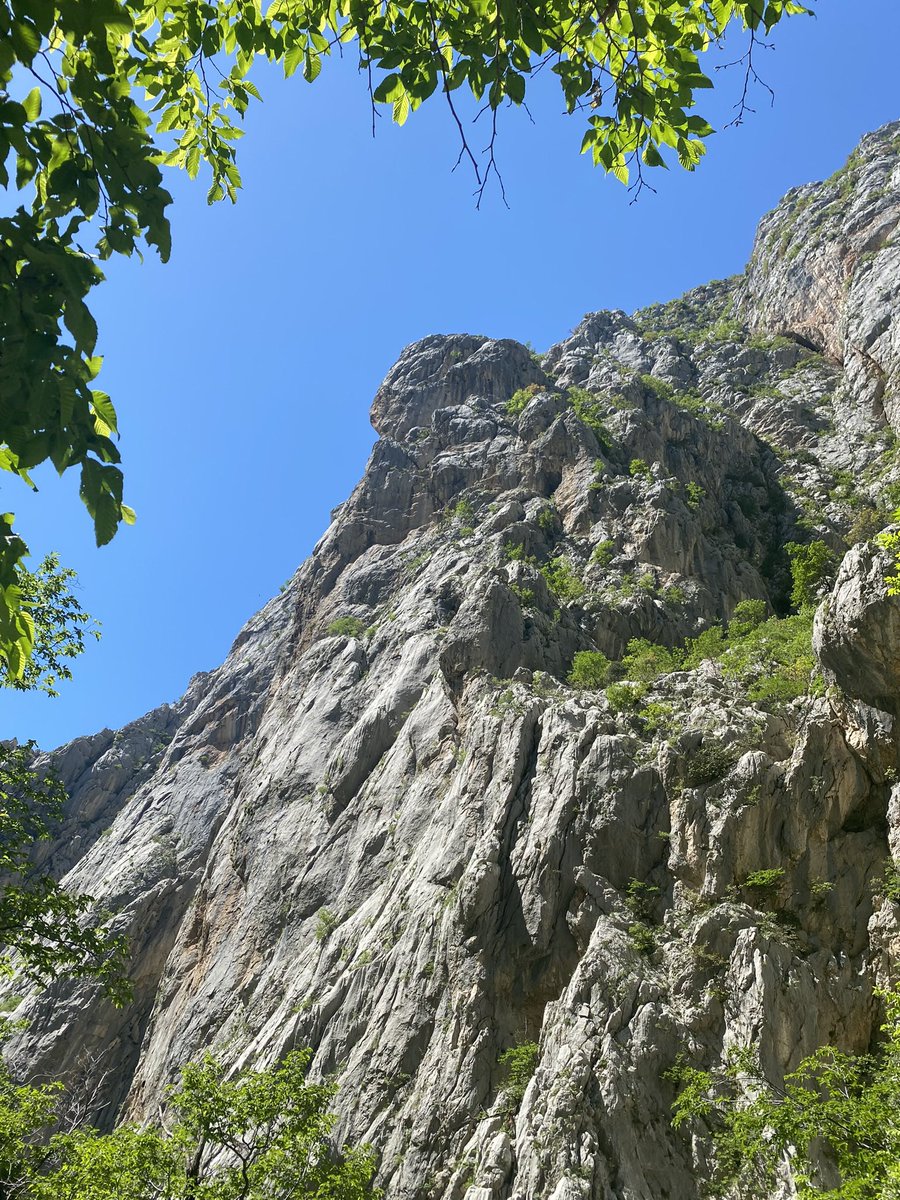#DailyPictureTheme #overhead paclenica national
Park, Croatia