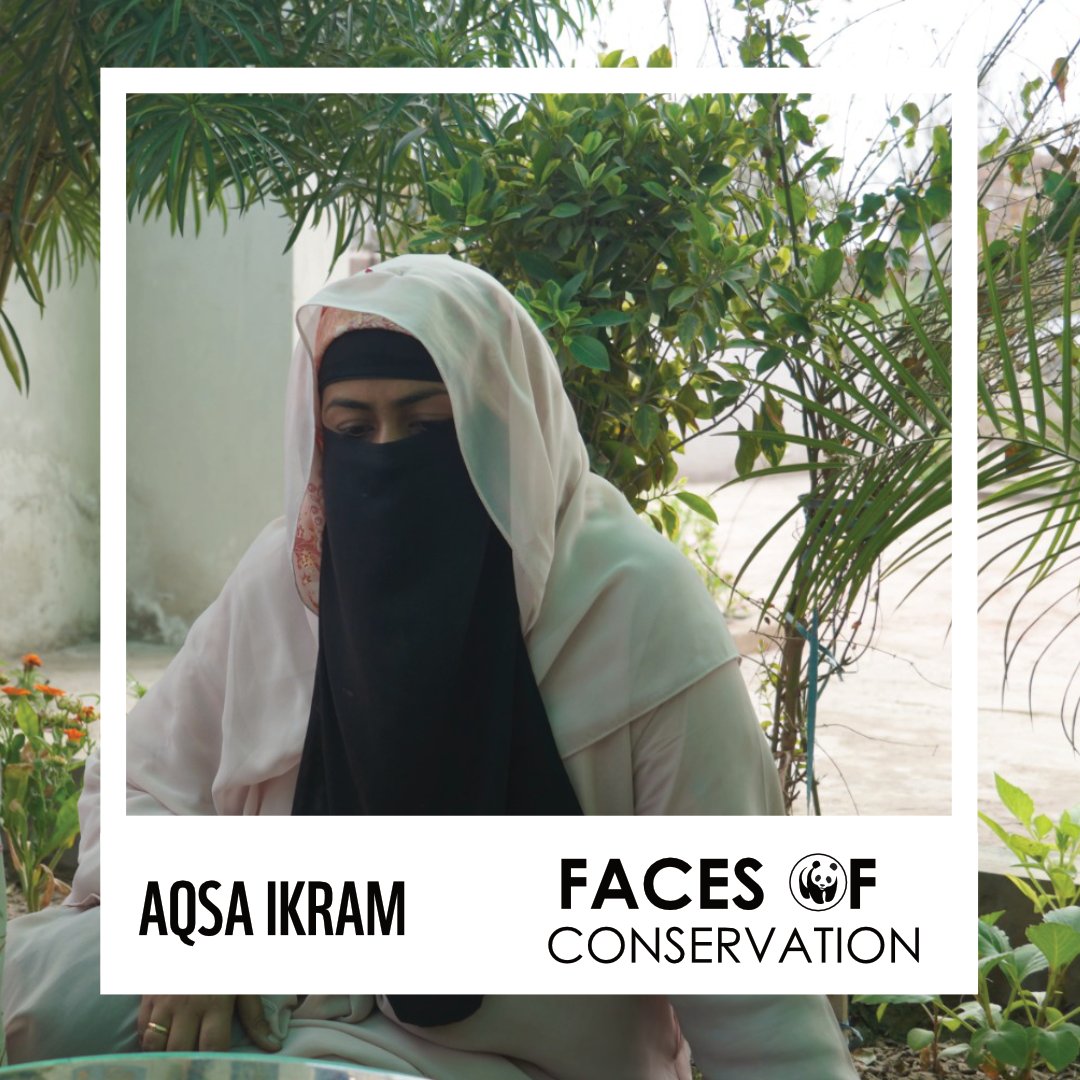 Read the full story of Aqsa Ikram from Jalalpur, where tradition often overshadows ambition. As a Women Field Facilitator at WWF-Pakistan, she's empowering girls at C-First centre with skills in stitching, embroidery, and more. instagram.com/p/C6YGIt2ohyC/…