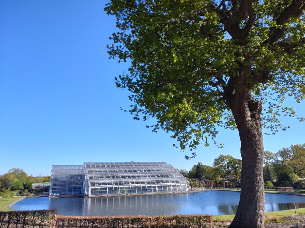 Good morning from @RHSWisley