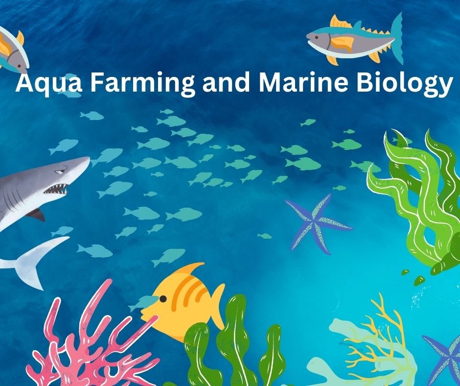 Aqua Farming and Marine Biology Details #Academicstrive #PAFMB #AquaFarming #MarineBiology #OpenAccess academicstrive.com/PAFMB/