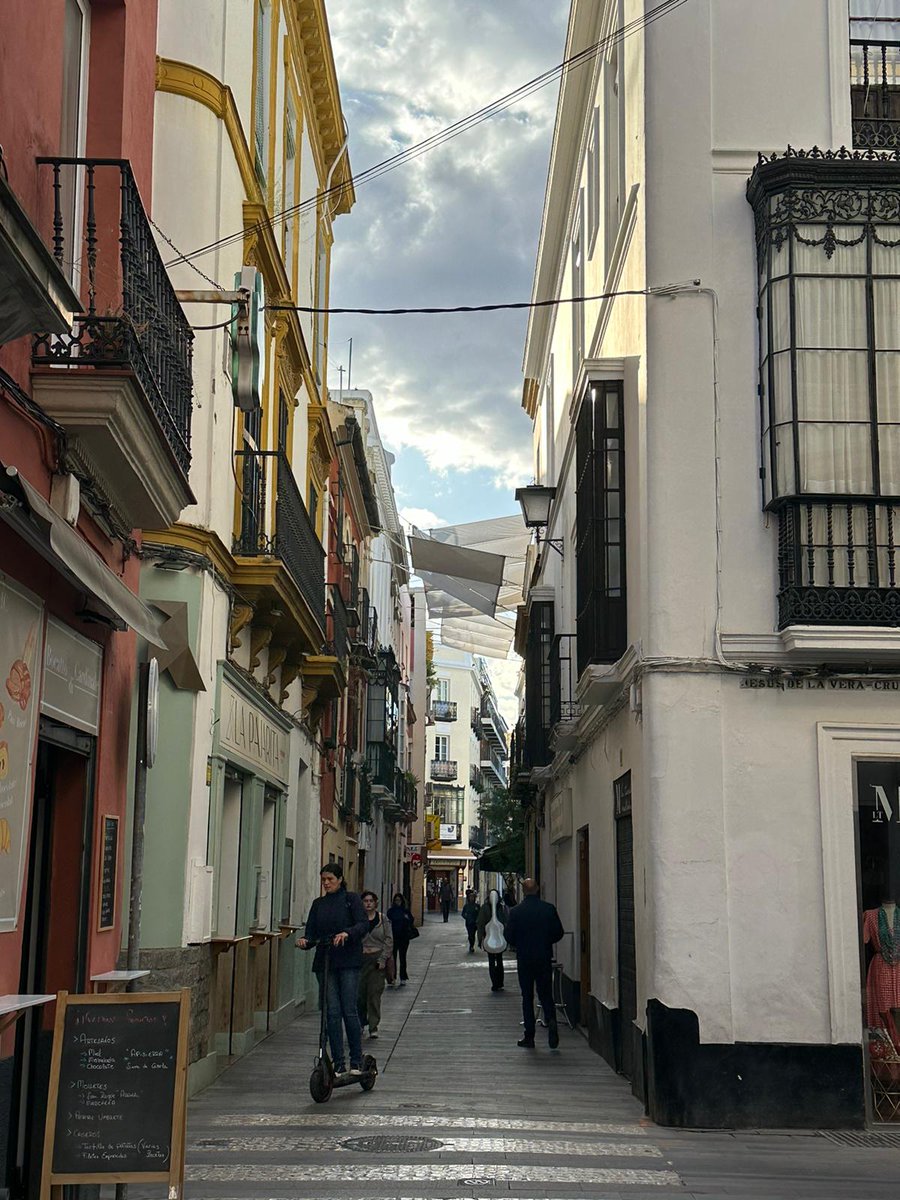 ☀️ Durante el mes de abril hemos iniciado la instalación del entoldado en el centro de #Sevilla, un adelanto significativo respecto a otros años. ➡️ 27 calles dispondrán de toldos, a las que incorporamos la calle Regina. 📸 Calle Baños tras la instalación de este fin de semana.