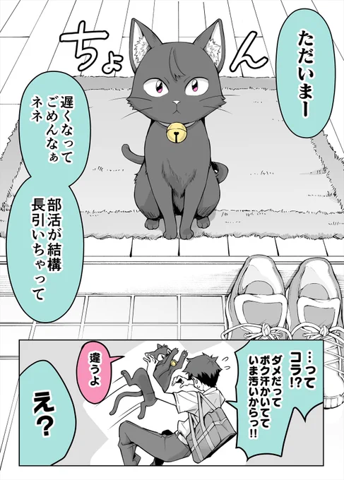 愛が重すぎるうちのヤンデレ飼い猫 1 (1/2) 