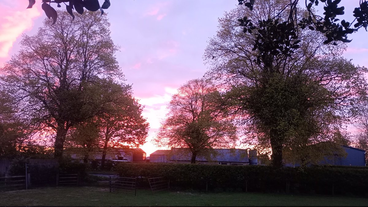 Cracking sunrise this morning!