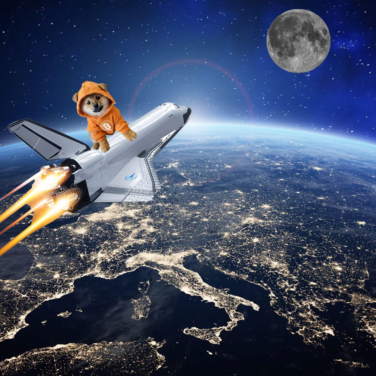 Repost if you are ready to send $DOG to the moon!