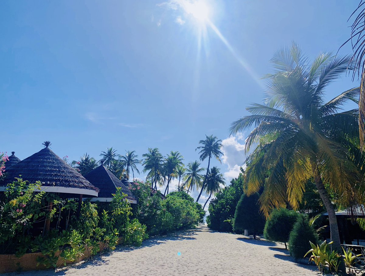 'Every day is a new beginning. Take a deep breath, smile, and start again.' - 💗
.
.
#day #favorite #beach #view #ocean #relax #life #comfortable #paradise #sunnysideoflife #summer #travel #holiday #WorldsLeadingDestination #visitfodhdhoo #maldives #fodhdhoo #visitmaldives 🌴