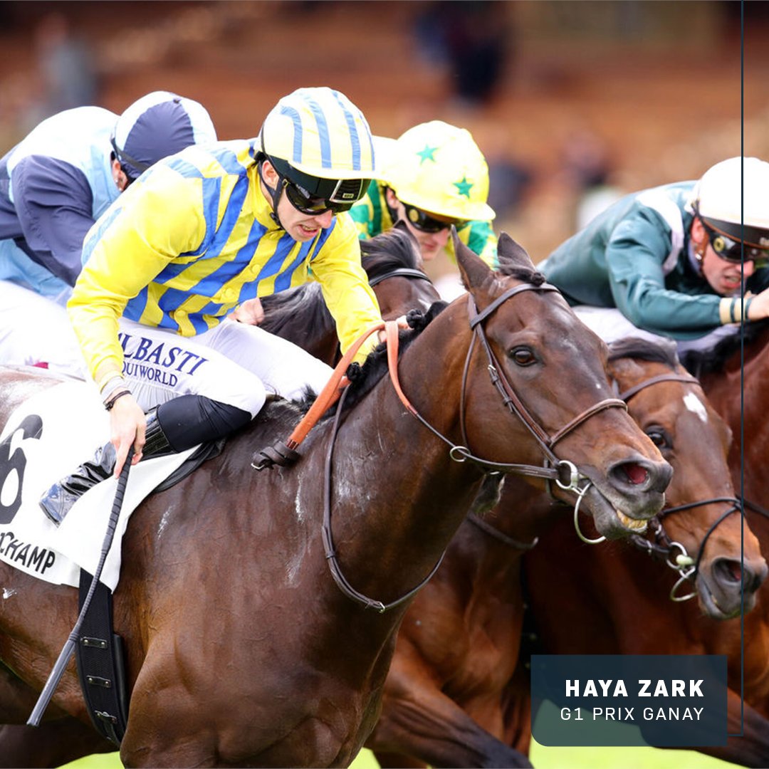 World Horse Racing (@whr) on Twitter photo WEEKEND RACING ROUND-UP ๐
๐ญ๐ฐ ROMANTIC WARRIOR the first 3๏ธโฃ-time QEII Cup winner ๐
๐ฏ๐ต Japanโs staying crown to T O ROYAL #ใใผใชใผใญใคใคใซ ๐
๐ฆ๐บ Emotional first G1 win for <a href="/LNeindorf/">Lachy Neindorf</a> โญ๏ธ
๐ซ๐ท HAYA ZARK shocks in the Prix Ganay ๐ฒ
FULL RECAP: instagram.com/p/C6YdUtQStfy/โฆ WEEKEND RACING ROUND-UP ๐
๐ญ๐ฐ ROMANTIC WARRIOR the first 3๏ธโฃ-time QEII Cup winner ๐
๐ฏ๐ต Japanโs staying crown to T O ROYAL #ใใผใชใผใญใคใคใซ ๐
๐ฆ๐บ Emotional first G1 win for <a href="/LNeindorf/">Lachy Neindorf</a> โญ๏ธ
๐ซ๐ท HAYA ZARK shocks in the Prix Ganay ๐ฒ
FULL RECAP: instagram.com/p/C6YdUtQStfy/โฆ
