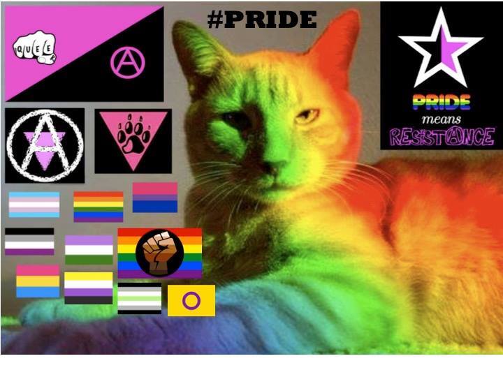 Anarcho Cats 🐱🏴 (@Anarcho_Cats) on Twitter photo 2024-04-30 10:26:13