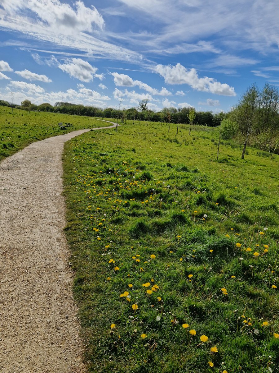 tracehodge17's tweet image. Nice morning for another 2mile toddler walk to our bridge; lots of dancing/running through the dandelions! Great fun &amp;amp; great to be outside learning &amp;amp; enjoying nature! #EarlyYears #EYTagTeam #EYTwitterTagteam #nature #learning #walking #funtimes #ukrunchat 🥳❤️🪙