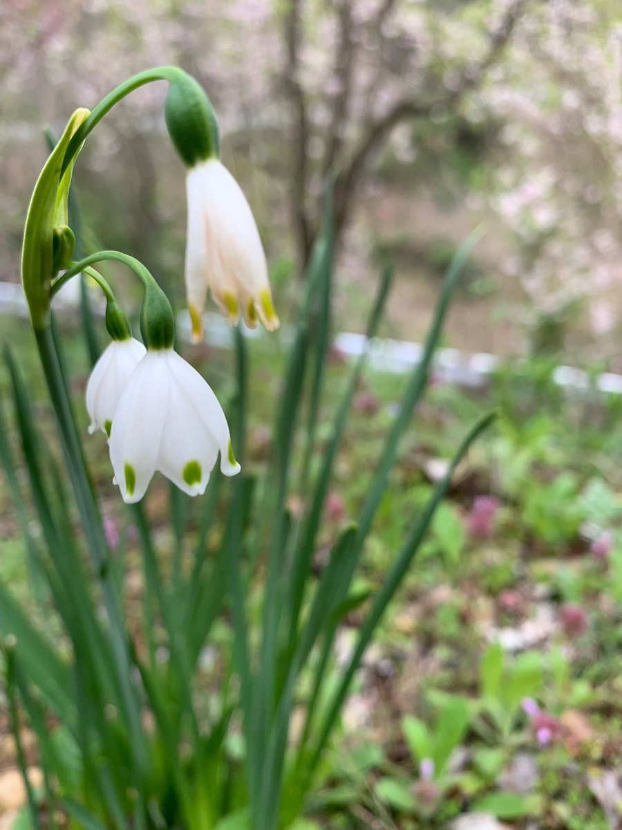 mastermind0512's tweet image. 5月4日(土)のサポートセンターはお休みさせていただきます。
ご理解とご協力の程、よろしくお願い申しあげます。