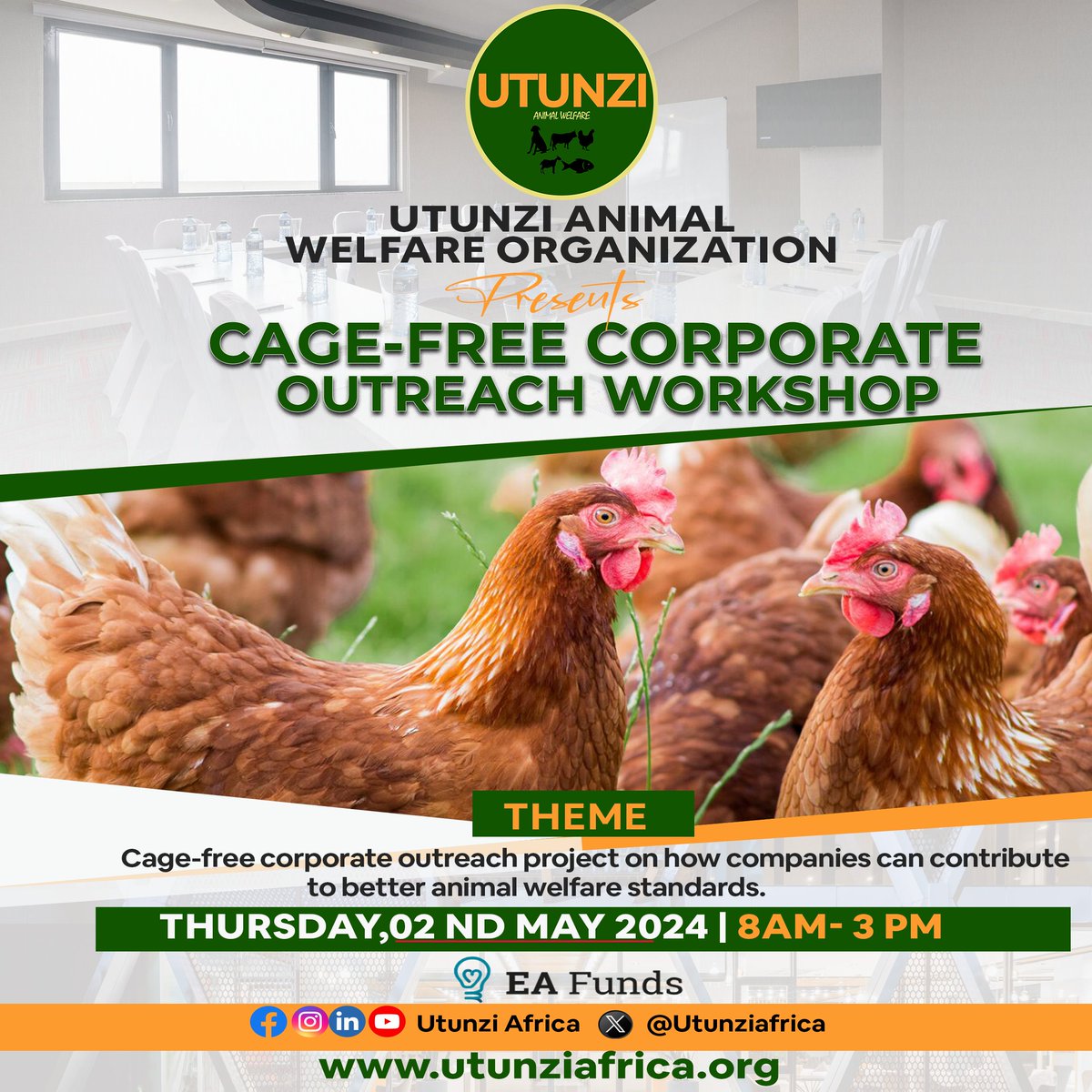 What is the role of companies that use eggs and egg products in ensuring and promoting proper animal welfare standards in Kenya?
Our workshop this Thursday will answer this question, and help us understand corporate accountability and responsibility in animal welfare

#Cagefree