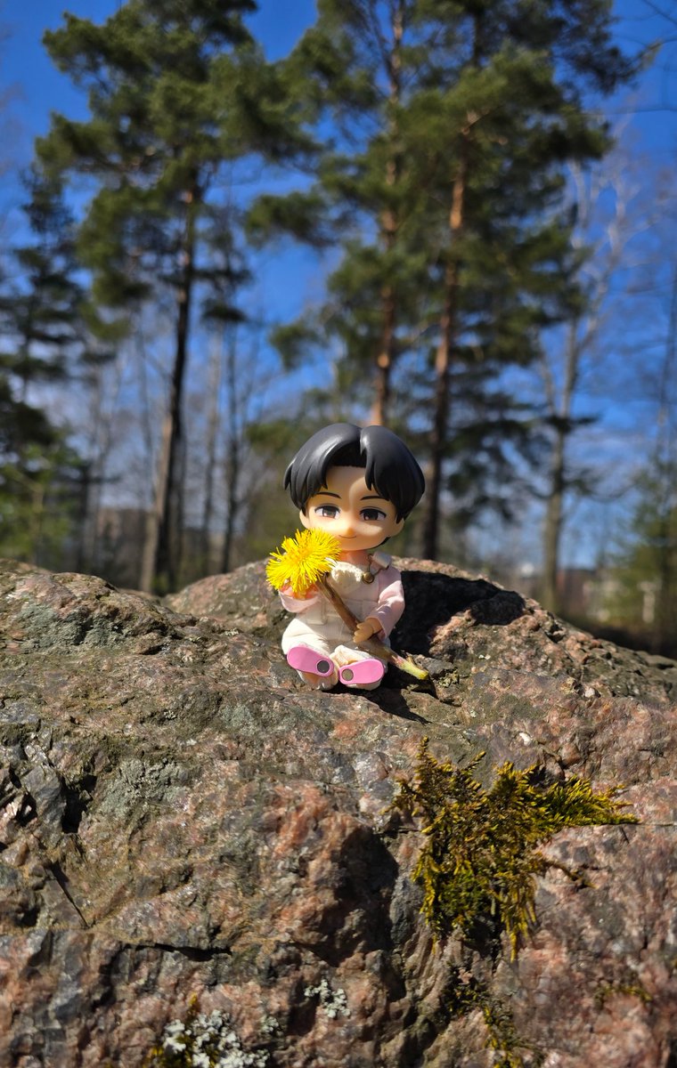 🌻
Spring is finally in Finland 🌱
#nendoroid
#nendodoll
#marcobodt
#aot