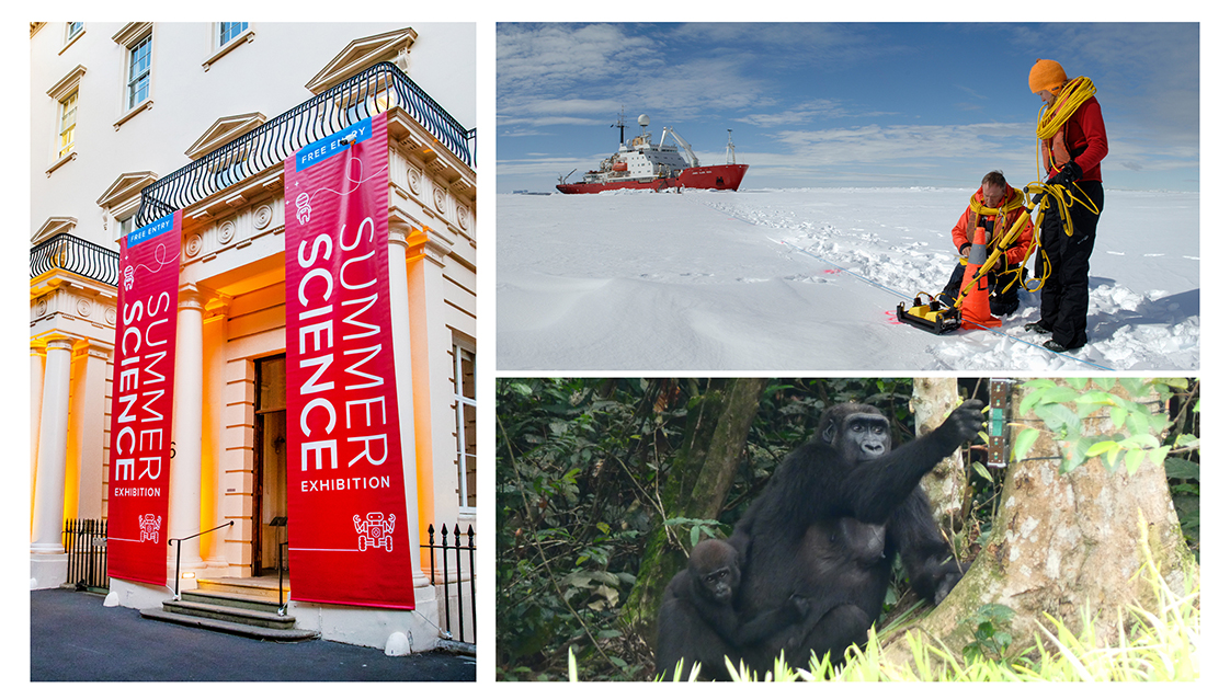 We've announced more details about what's in store for you at this year's #SummerScience Exhibition. Take the Great Ape Challenge to discover how human language evolved, shrink to atomic scale in VR, hear the sounds of melting Antarctic ice and much more. bit.ly/4aRJo5Z