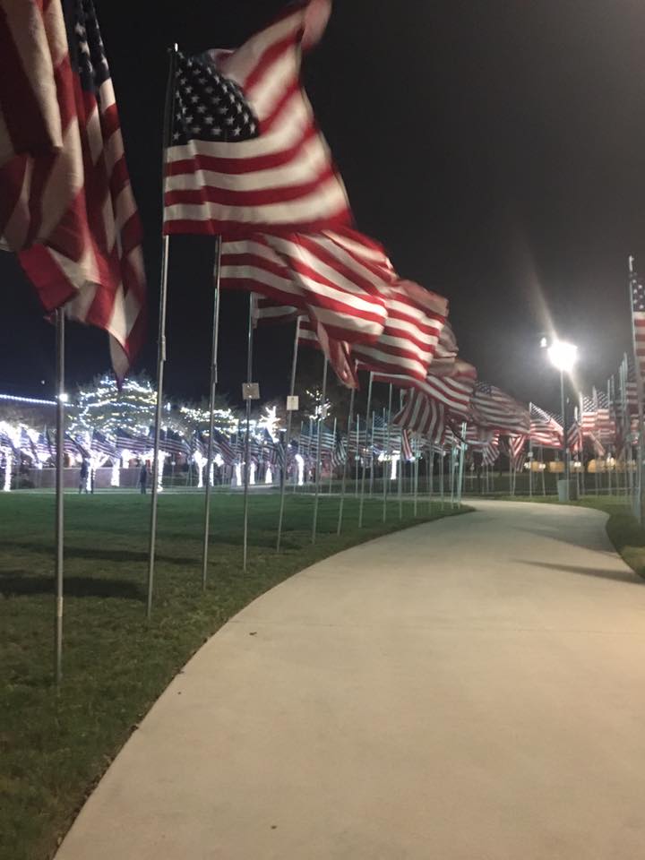 MarkWelsh65's tweet image. 