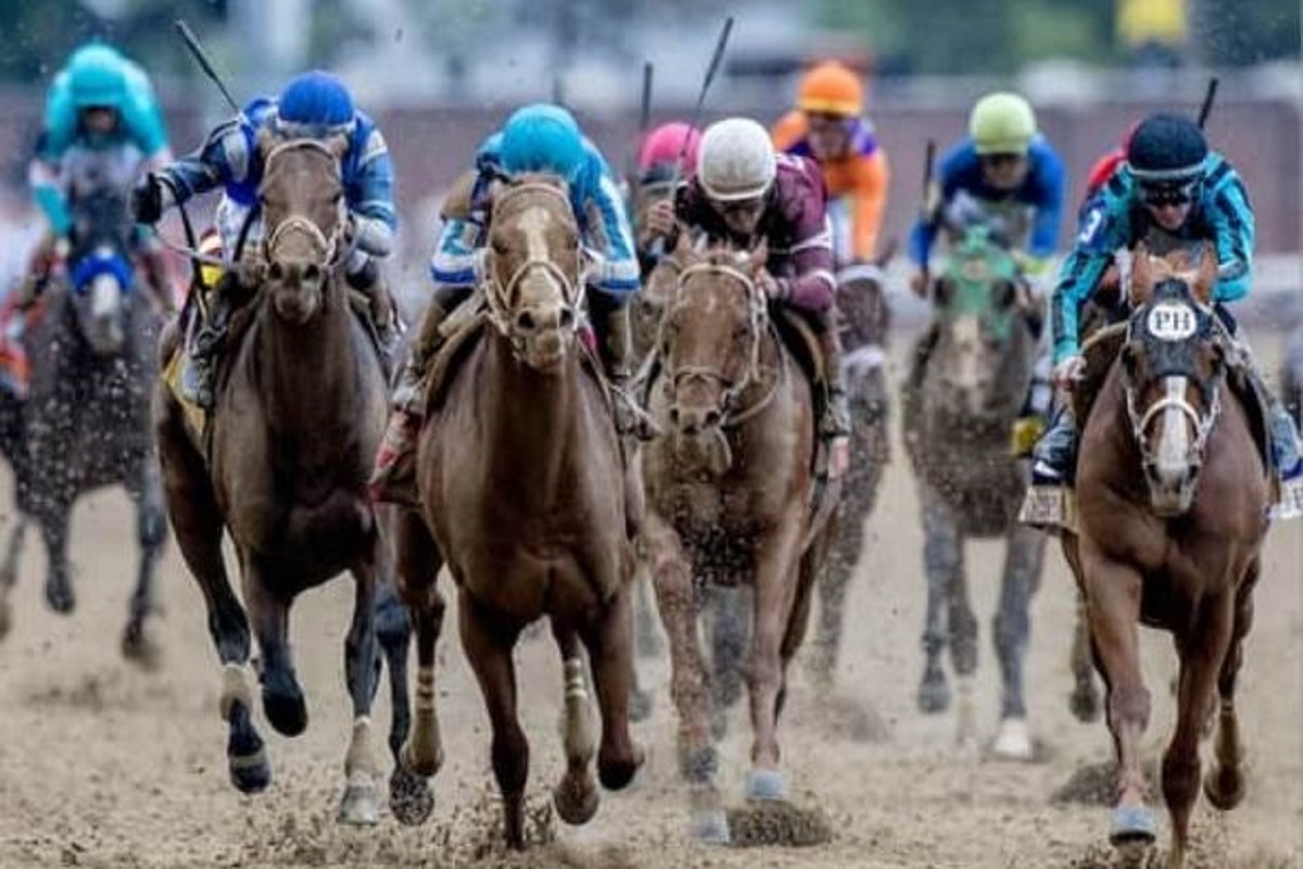 Astoundingly Generous Brisnet Gifts Free #KentuckyDerby 2024 Past Performances, Propelling Fans into Unparalleled Excitement 

thepurehorses.com/astoundingly-g…