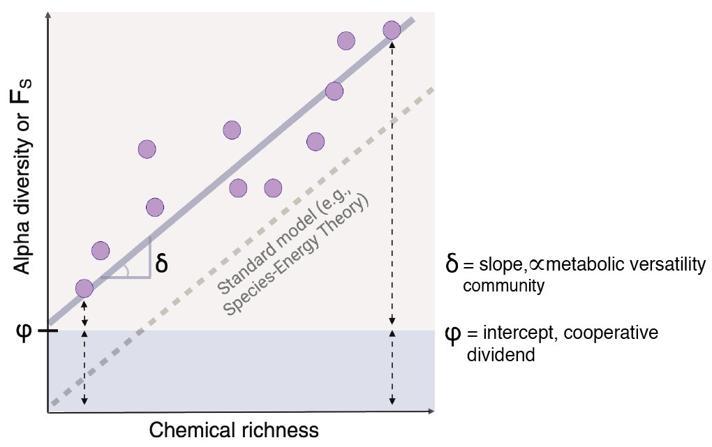 Cooperative metabolic dividend enables survival of otherwise unfit species in nutrient poor media & supports diversity. + Much more in our latest preprint on synthetic gut bacterial communities in defined media 🙏🏽🙏🏽 amazing co-authors @NaomiIrisvdBerg @BorkLab @TypasLab et al.