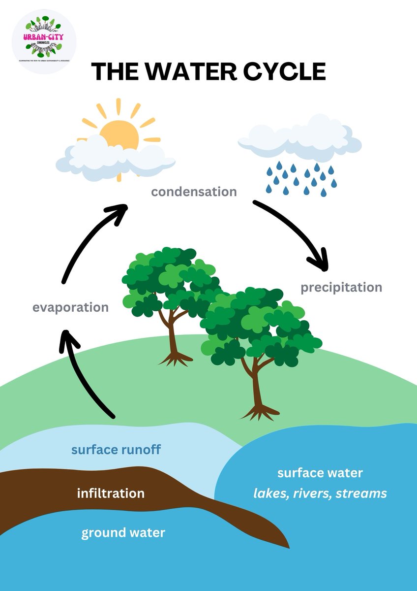 'In a season of negative rainfall, let's remember the beauty and importance of the water cycle.
#wakeup #floods #climatechnge #rainseeding
@c40cities 
@WorldResources 
@WorldUrbanCampaign
@Un
@AfricanUnion
@Unhabit
#sdgs
#gracekimaru #kanikaian