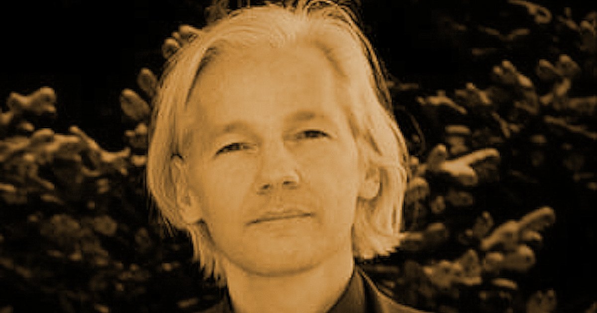 'Until Assange walks free everyone should assume that any statements by any of the governments involved is at best a half truth or a distortion of the truth or at worst a calculated lie.'
- Kellie Tranter
Support the film here: gofund.me/55f992e2 #FreeAssangeNOW #Assange