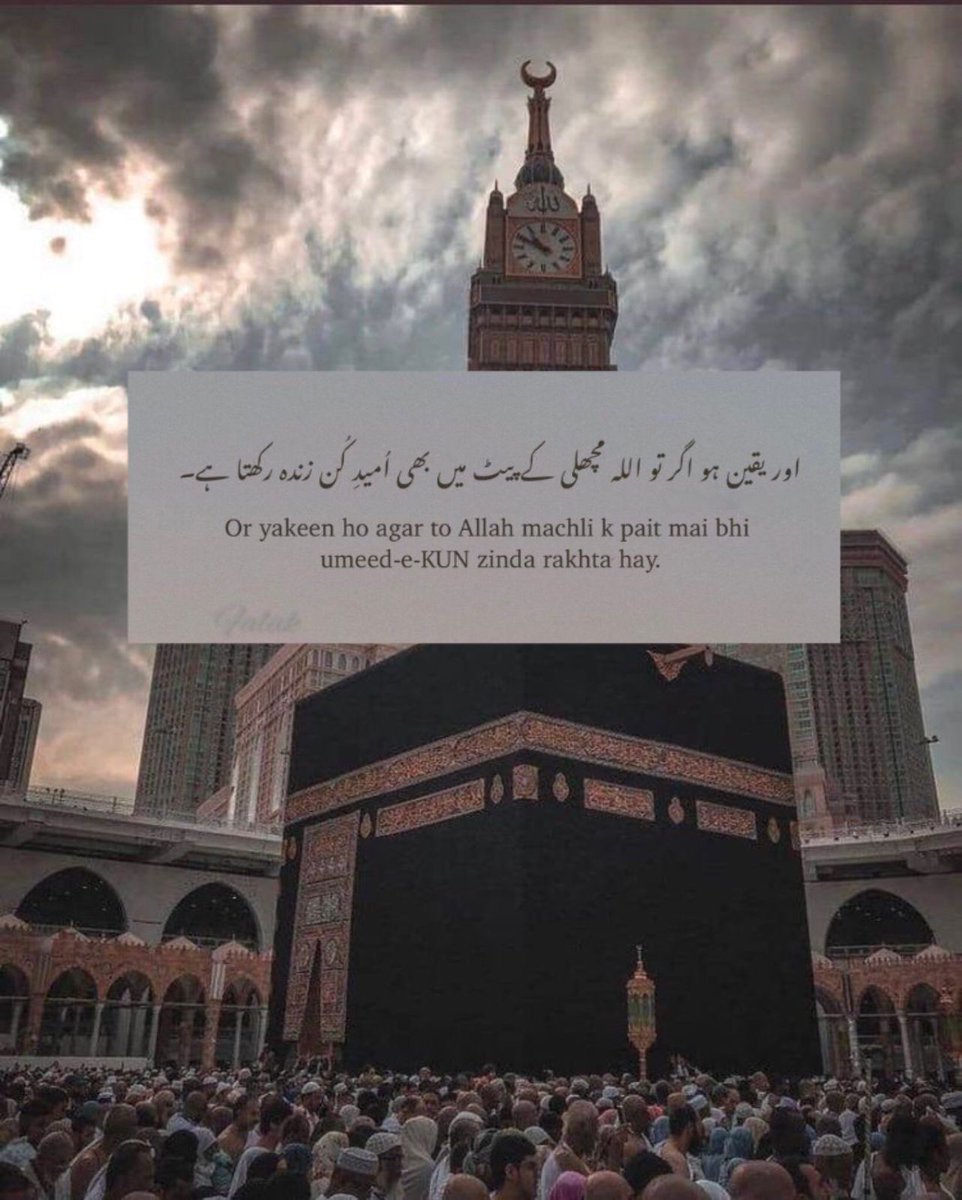 Mahnoor (@noor456743389) on Twitter photo A.O.A
$STYLE $PARAM $TRIP $BUBBLE
@SenderLabs
<a href="/ParamLaboratory/">Param Labs</a>
<a href="/PlayOverTrip/">OverTrip</a>
<a href="/Imaginary_Ones/">Imaginary Ones | Bubio.ai</a>
<a href="/AINNLayer2/">AILayer Community</a> #ANVM
<a href="/XterioGames/">Xterio</a> $XTER
$BEYOND <a href="/PlayGroundCorp/">PlayGround</a>
<a href="/Cookie3_com/">Cookie3 🍪</a> $COOKIE
$PIXIZ <a href="/Pixiz_io/">Pixiz</a>
<a href="/ricyofficial/">ricy</a> $RICY
<a href="/bonklolBase/">Bonk LOL</a> A.O.A
$STYLE $PARAM $TRIP $BUBBLE
@SenderLabs
<a href="/ParamLaboratory/">Param Labs</a>
<a href="/PlayOverTrip/">OverTrip</a>
<a href="/Imaginary_Ones/">Imaginary Ones | Bubio.ai</a>
<a href="/AINNLayer2/">AILayer Community</a> #ANVM
<a href="/XterioGames/">Xterio</a> $XTER
$BEYOND <a href="/PlayGroundCorp/">PlayGround</a>
<a href="/Cookie3_com/">Cookie3 🍪</a> $COOKIE
$PIXIZ <a href="/Pixiz_io/">Pixiz</a>
<a href="/ricyofficial/">ricy</a> $RICY
<a href="/bonklolBase/">Bonk LOL</a>