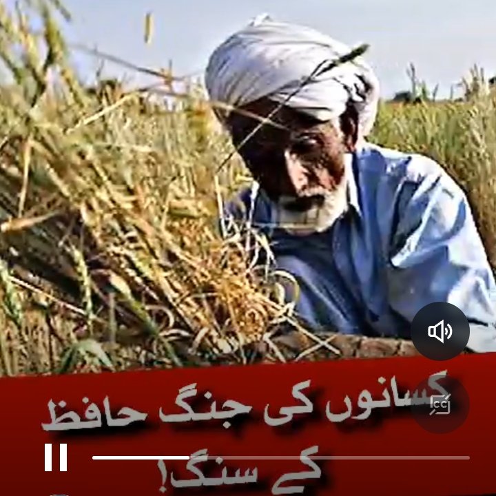 #ظالم_حکمران_مظلوم_کسان کسانوں کی جنگ حافظ نعیم کے سنگ