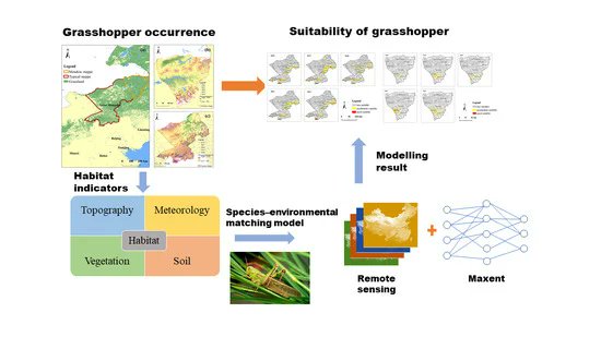 ☘️Spatiotemporal Distribution and Main Influencing Factors of #Grasshopper Potential #Habitats in Two Steppe Types of Inner Mongolia, China by Jing Guo, Longhui Lu, Yingying Dong, Wenjiang Huang, Bing Zhang et al mdpi.com/2072-4292/15/3… #vegetation