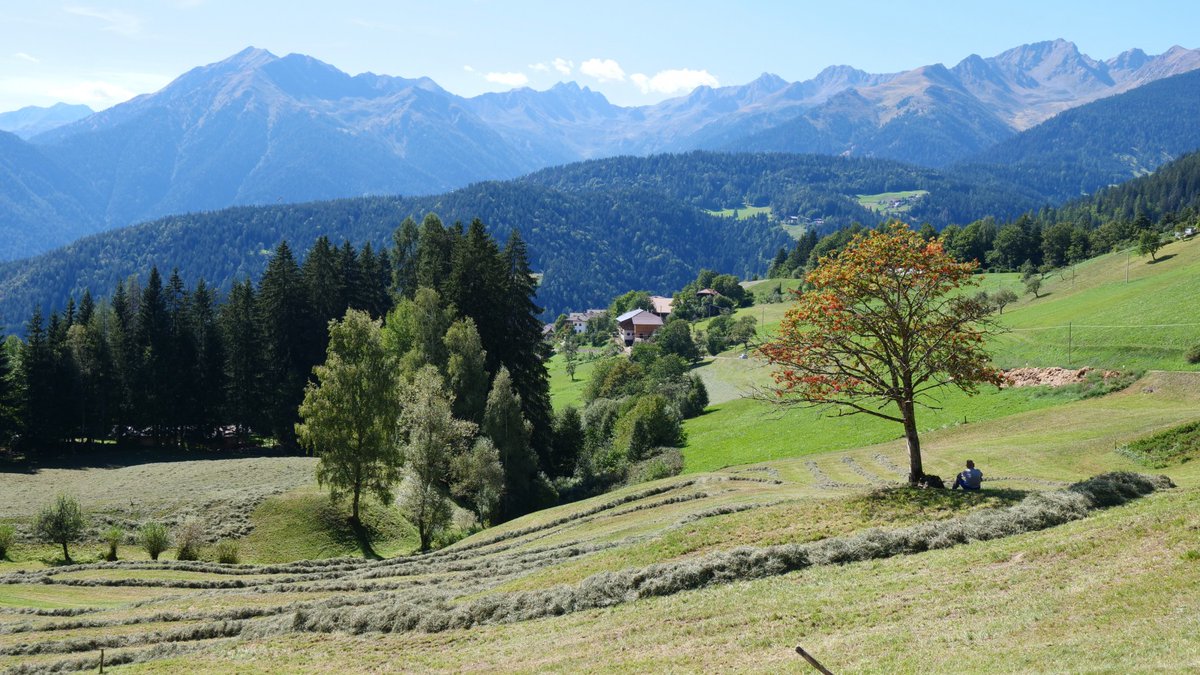 A “Contadini di Confine / Grenzbauern' di Michele Trentini il Premio Speciale #Dolomiti #PatrimonioMondiale #UNESCO nell'ambito della 72^ edizione del @trentofestival: dolomitiunesco.info/attivita/conta…
La foto della premiazione è di Lisa Villotti