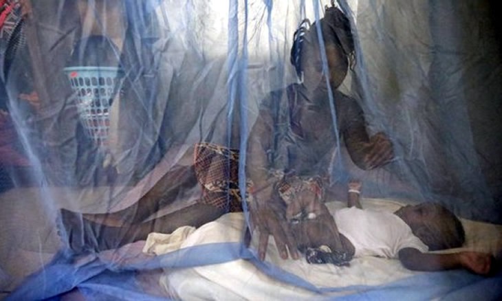 #Mozambique: Government to introduce #MalariaVaccine in June

#Moçambique #Malaria 

ow.ly/c1kz50RrM3b