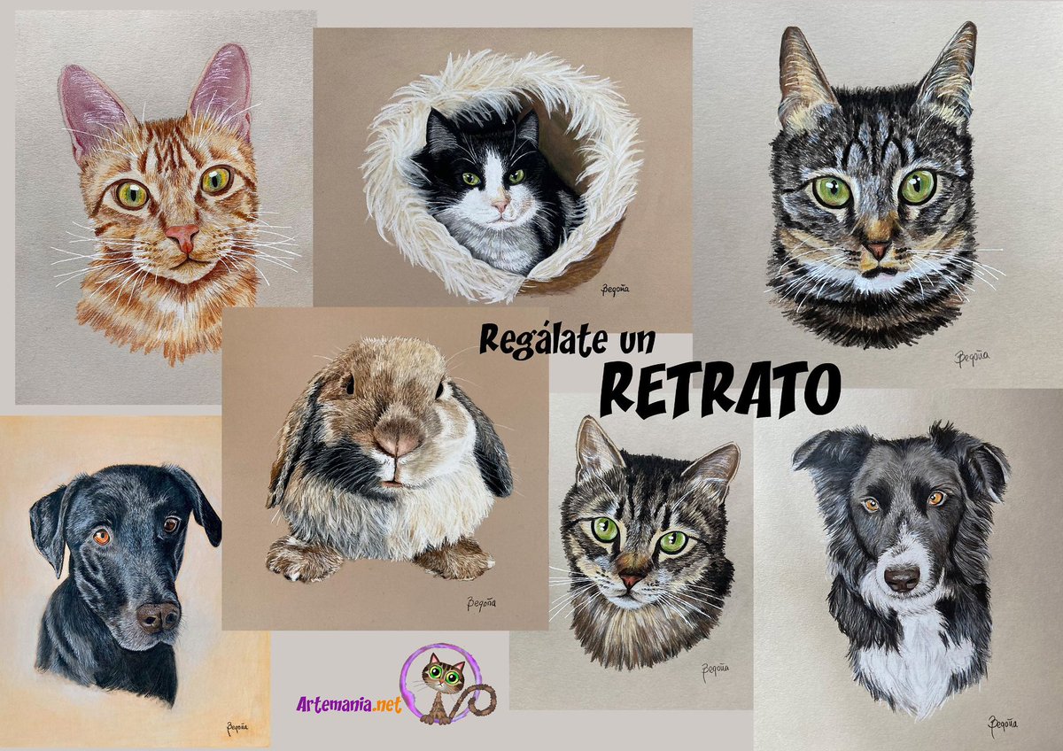 Envíame esa foto que te encanta y la convertiré en un recuerdo para siempre. Pintado por mi, a mano, pelo por pelo, sin IA, solo mis lápices y mis pinceles 👉 artemania.net/cuadros-person…

#hechoamano #catlover #regalosoriginales #regalopersonalizado