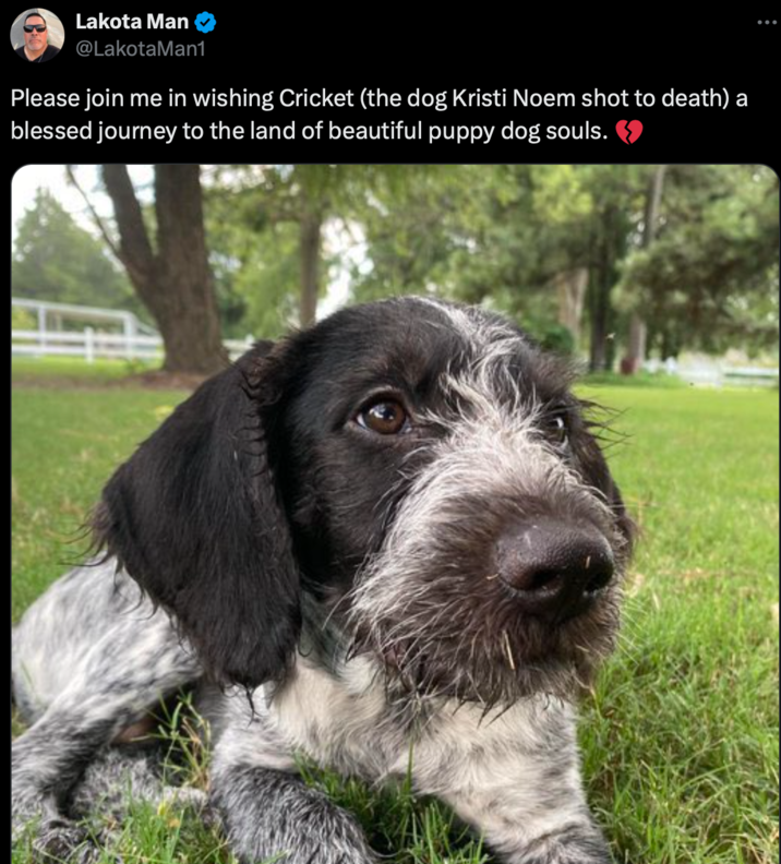 .@KristiNoem Heartbroken for sweet Cricket! #KristiNoemIsAMonster! #DogsAgainstKristi! Rest in peace, dear Cricket!