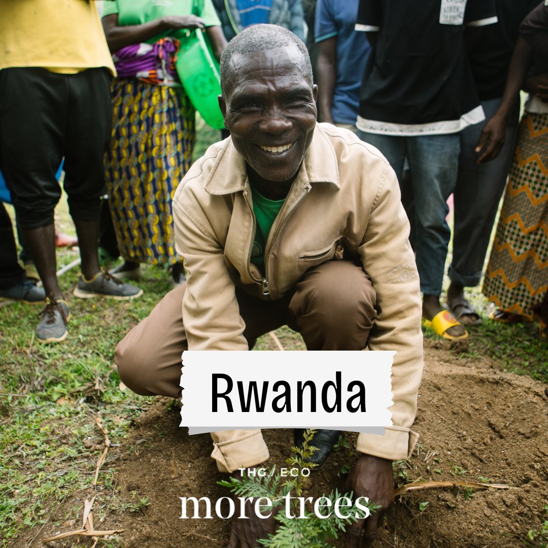 Let's say hello to the latest tree planting project on our platform: East Rwanda 👋

🌳 Forest Type: Agroforestry
🌲 Tree Species: Avocado, Alder, Spanish Cedar &amp; other shade trees (10+ species)
🌿 Planting Seasons: Oct-Nov
💰 Price: £1/tree

Learn more: moretrees.eco/projects/rwanda