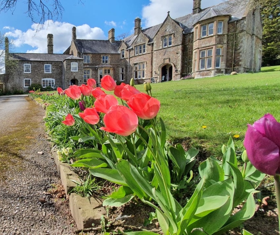 Visit us in Devon this Spring! 🌷 With coastline, moors, and everything in between, Devon is a place to be appreciated all year round. However, there are certain locations that really bloom in spring! Read our blog and find out more 👇 northcotemanor.co.uk/blog/5-pretty-…