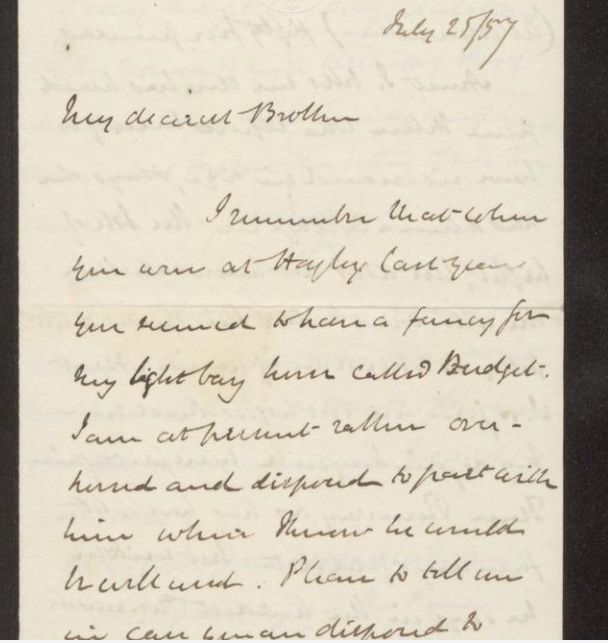 We're coming to the end of #NationalPetMonth and today we really wanted to share this letter from our Glynne-Gladstone Archive. In 1857 W. E. Gladstone wrote to his brother, Thomas, to offer to sell his ‘light bay horse’ to his brother for 55 guineas. 🐎 1/2