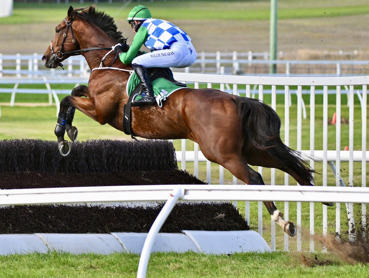 Look at that beautiful take off action on STERN IDOL @McCarthyWillie winning The Brierly Steeplechase.
#TheBool