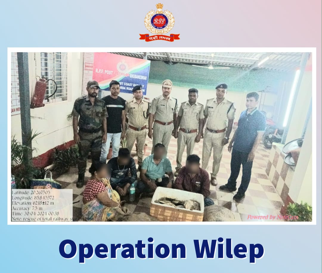 Wildlife Preservation: A Duty We Share with Nature. 🌿🌏 The vigilance of #RPF Bhubaneswar saved 117 turtles and nabbed 4 people transporting the turtles illegally on Utkal Express. #OperationWilep #WildlifeProtection @rpfecor1 @RailMinIndia