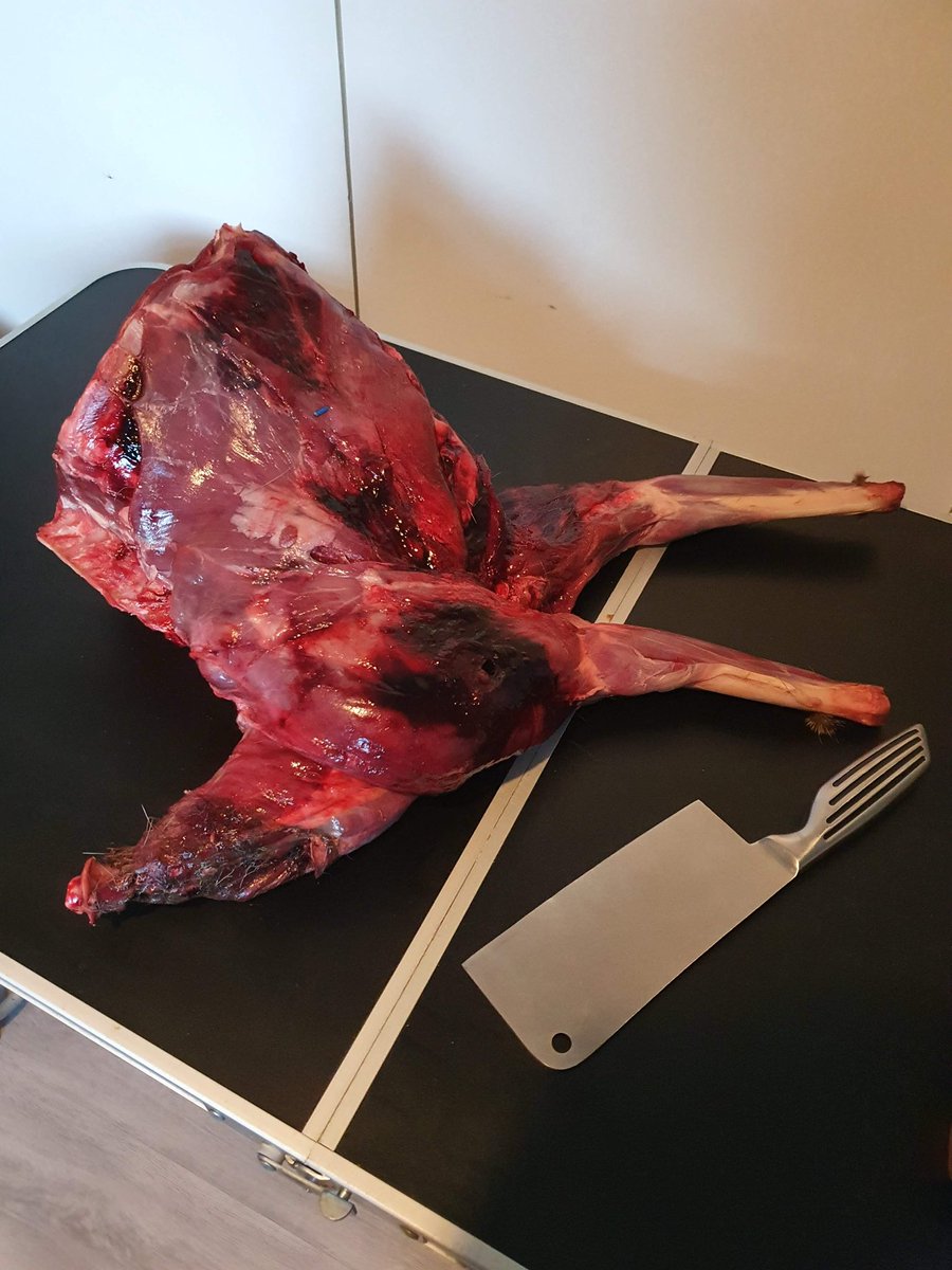 Some Deer carcass for the pack, shot locally to our home. 

Who else has noticed a HUGE difference from their dogs since going #Rawfed 

#carnivore #CarnivoreDiet