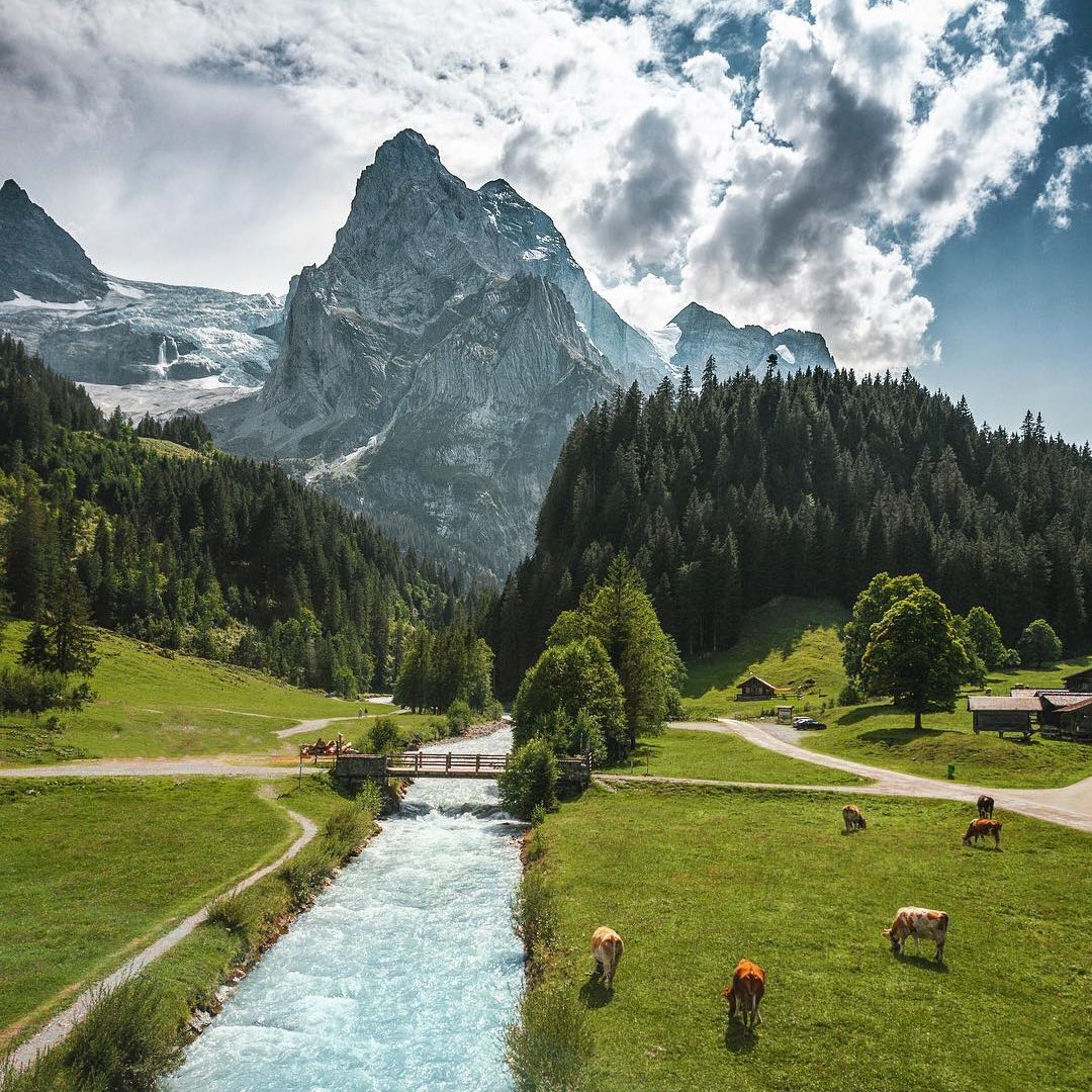 🇨🇭 Un paysage de carte postale en Suisse ! Très belle journée à tous ! 🏔️🍀 📸 Hebenj