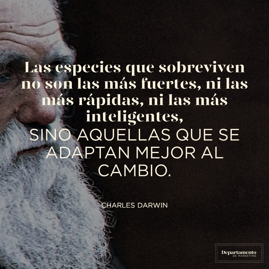 Las especies, pero también las marcas. 🤔
.
.
#frasedelmes #departamentodemarketing #evolucion #charlesdarwin