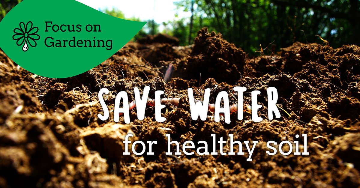 Learning how to use water wisely is key to healthier plants. This #NationalGardeningWeek check out our water management tips to help your garden flourish and make the most of every drop: watersworthsaving.org.uk/top-tips/garde… #WatersWorthSaving #GardeningTips