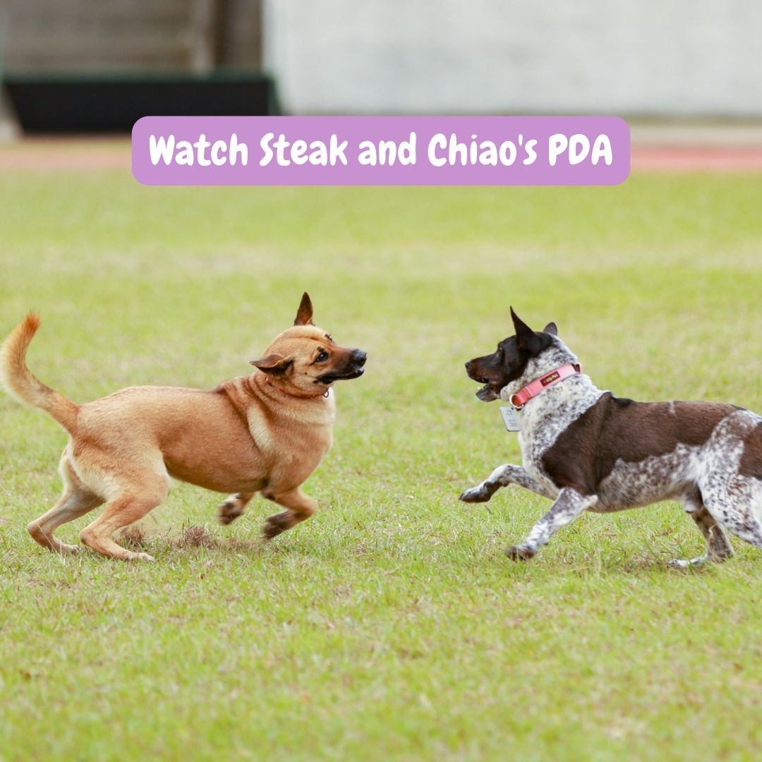 NTHU_TAIWAN's tweet image. 