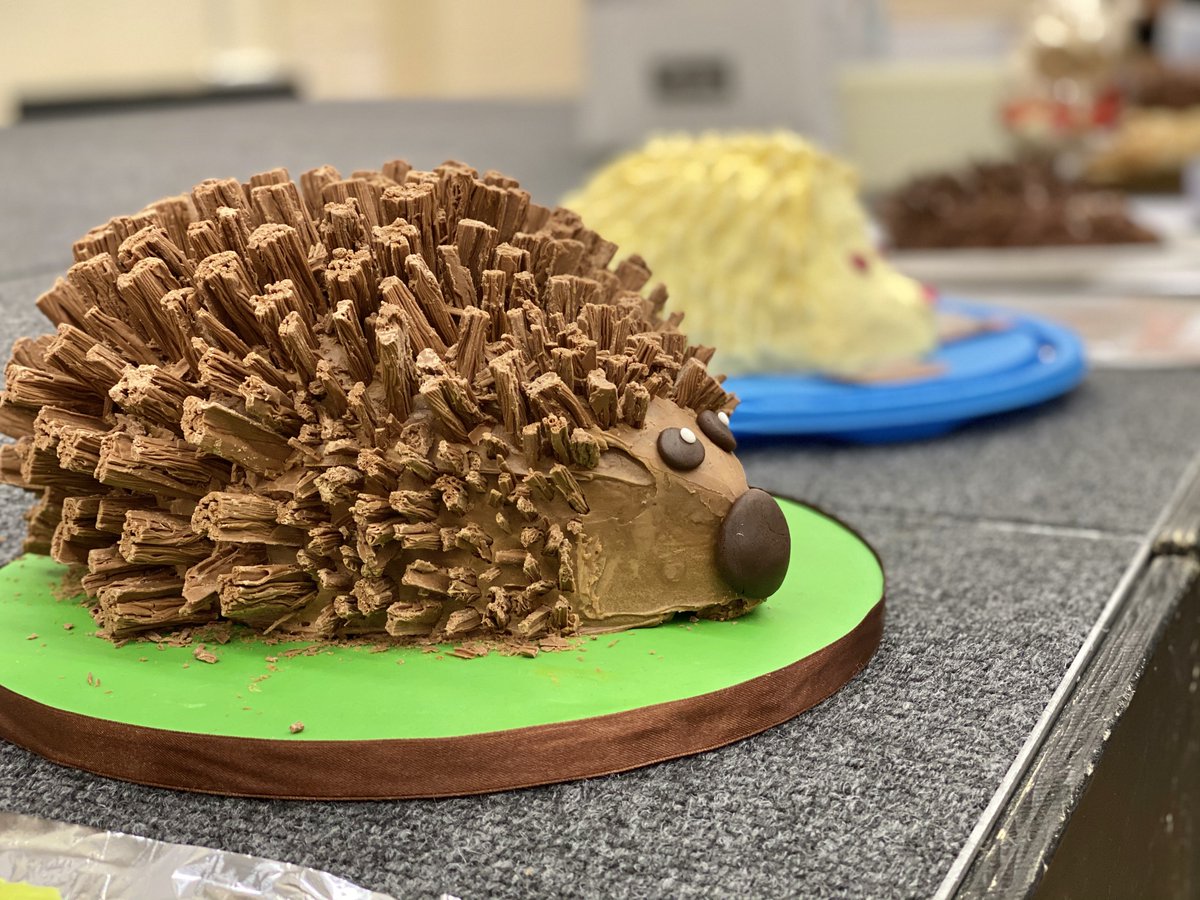 Wishing a very happy birthday to the British Hedgehog Preservation Society - @hedgehogsociety - will there be a #hedgehog cake?