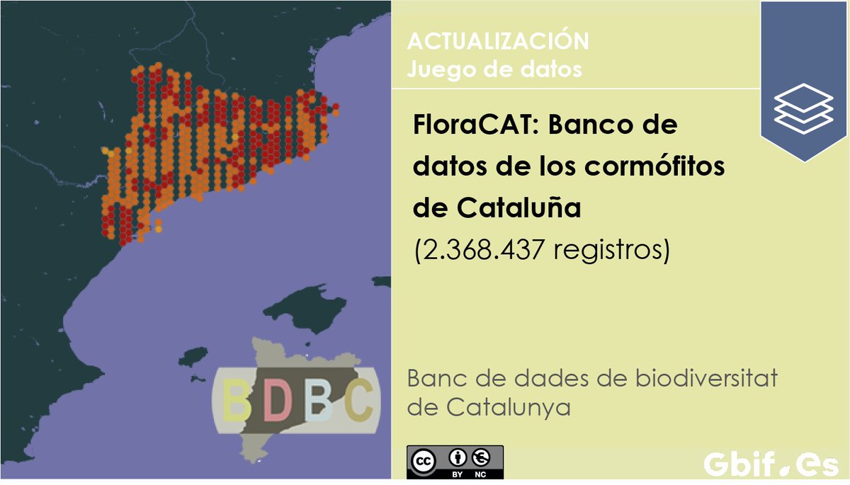 FloraCat, el Banco de datos de #cormófitos de Cataluña, recoge casi 2,3 millones de registros desde su última actualización. Pteridofitos, gimnospermas y angiospermas en el marco territorial de #Cataluña: ▶️doi.org/10.15470/fzwiiu #CiteTheDOI ▶️colecciones.gbif.es/public/showDat… #Catalunya