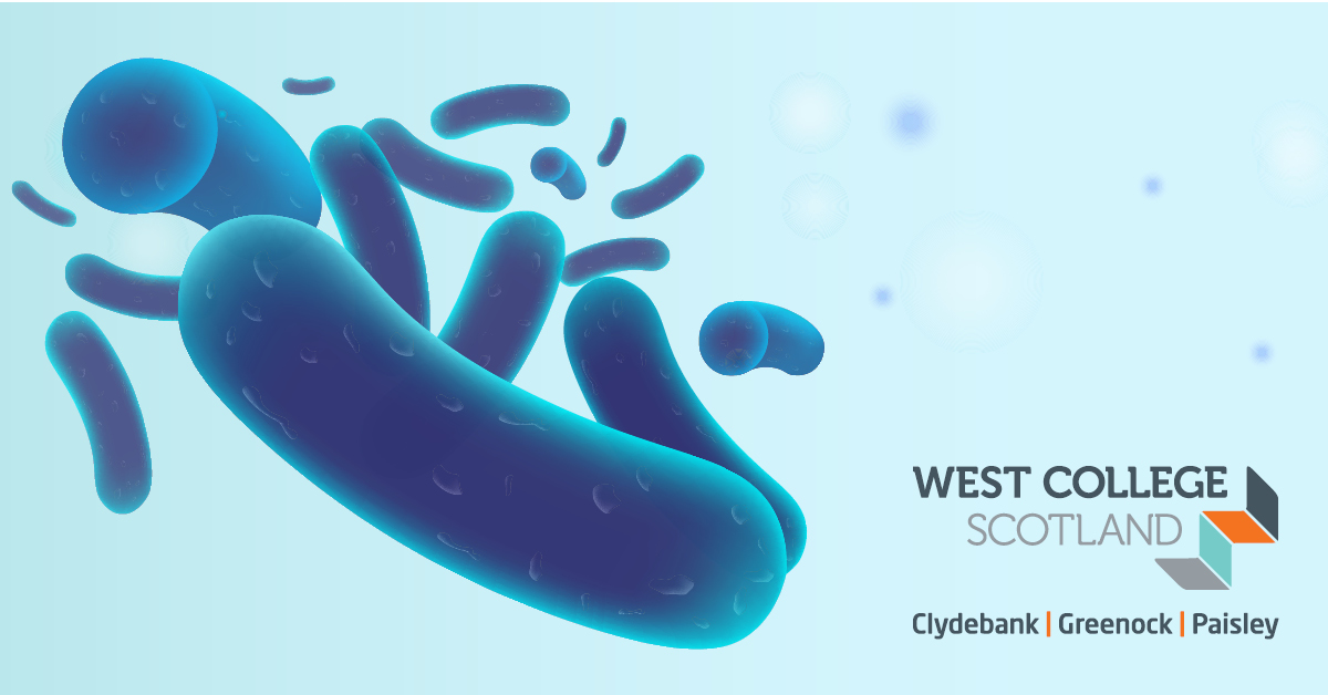 Science teachers and technicians! 👩‍🔬 Expand your skills with our 3-day SSERC accredited course providing the qualifications you need to deliver or support delivery of microbiology in Scottish schools and colleges. 🎓 Enhance your employability at West: westcollegescotland.ac.uk/business/profe…